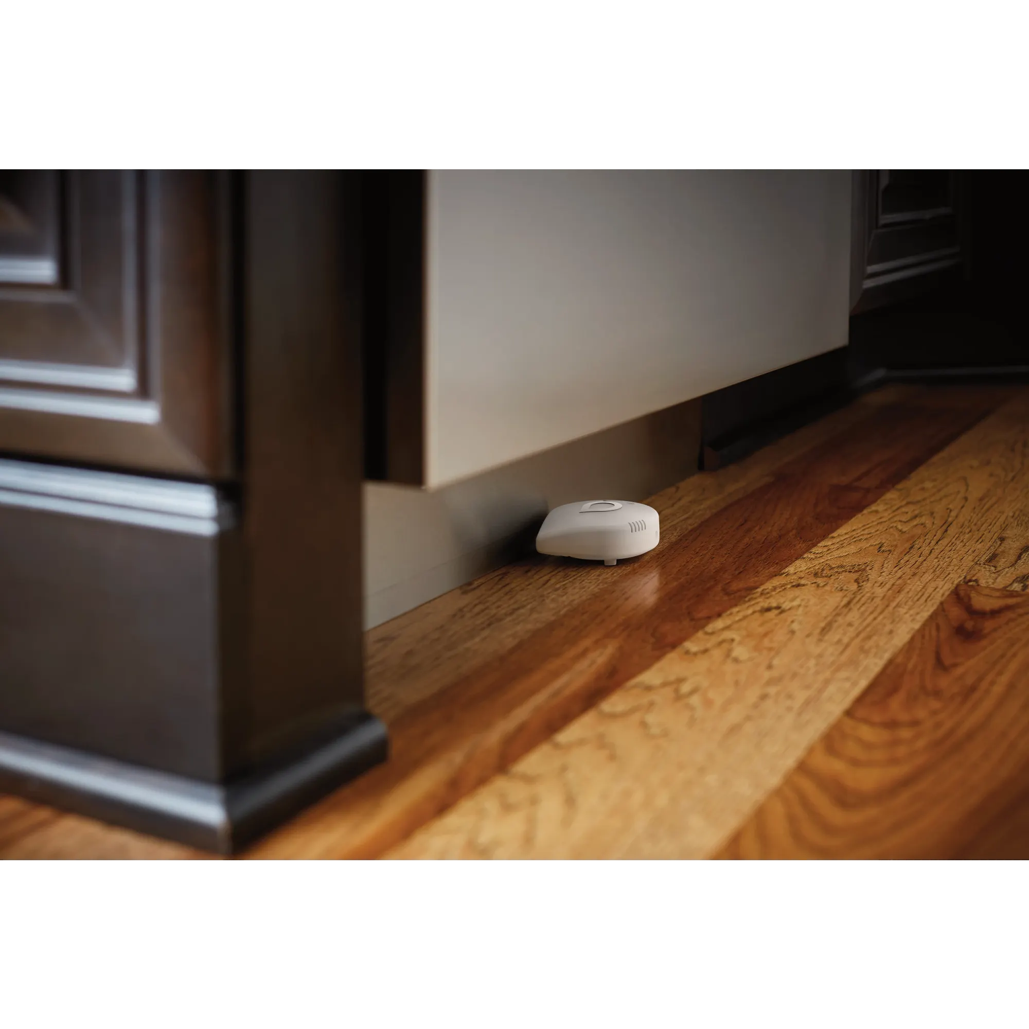 Moen Smart Leak Detector, 1 Pack - Image 13
