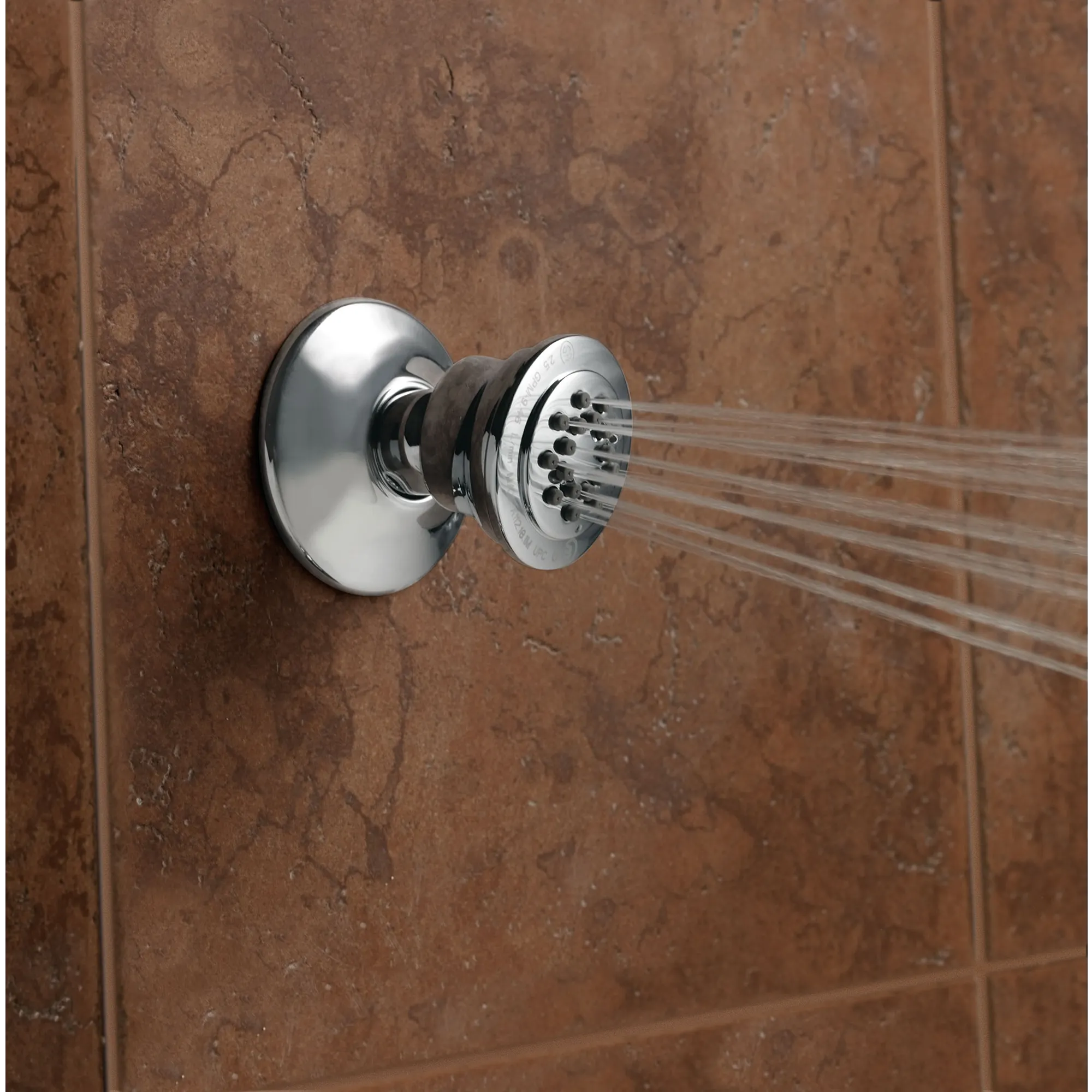 Moen Chrome Body Spray - Image 11