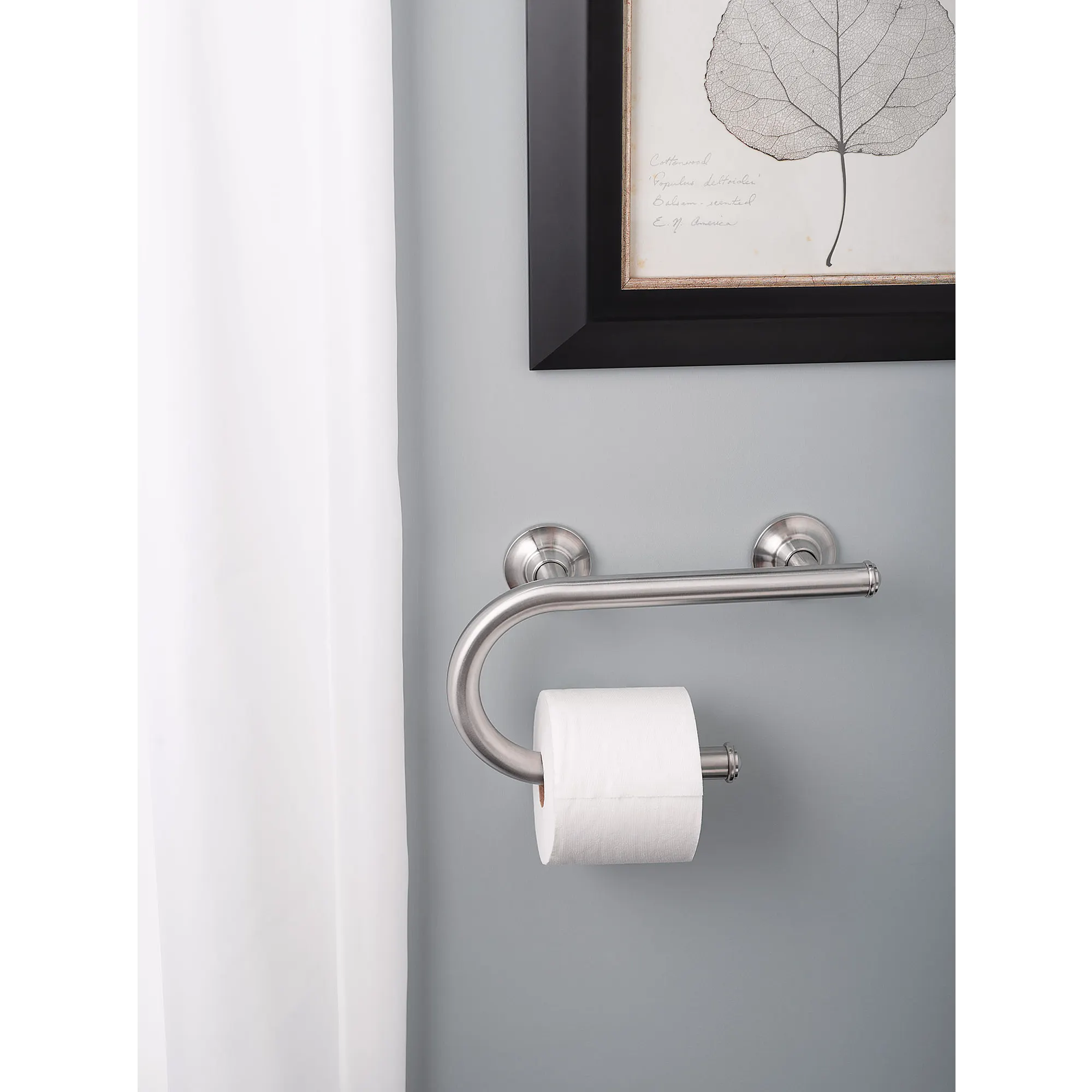 Chrome 8" Grab Bar with Toilet Paper Holder - Image 4